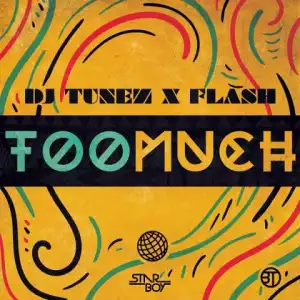 DJ Tunez - Too Much ft. Flash